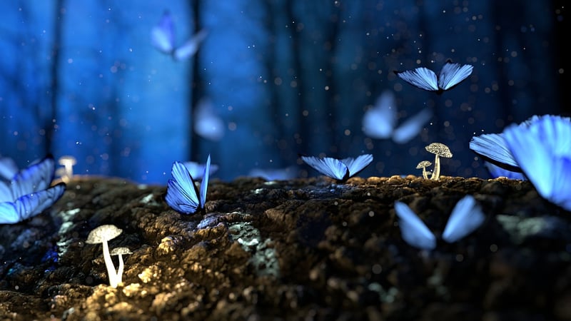 Enchanted beings